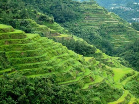 banaue terraces cordilleras filipinas luzon reisterrassen terrazas arrozales