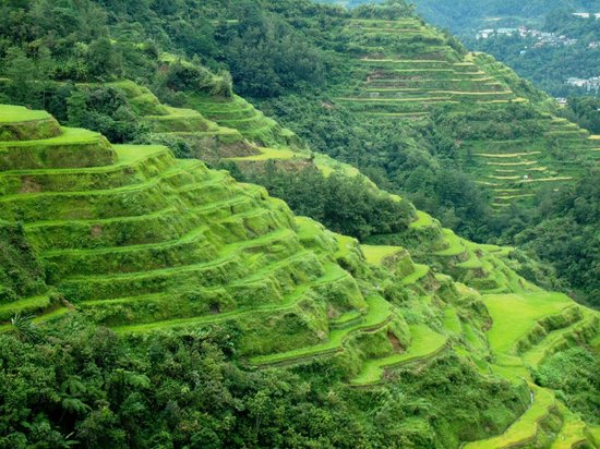 The Banaue Rice Terraces - A Review