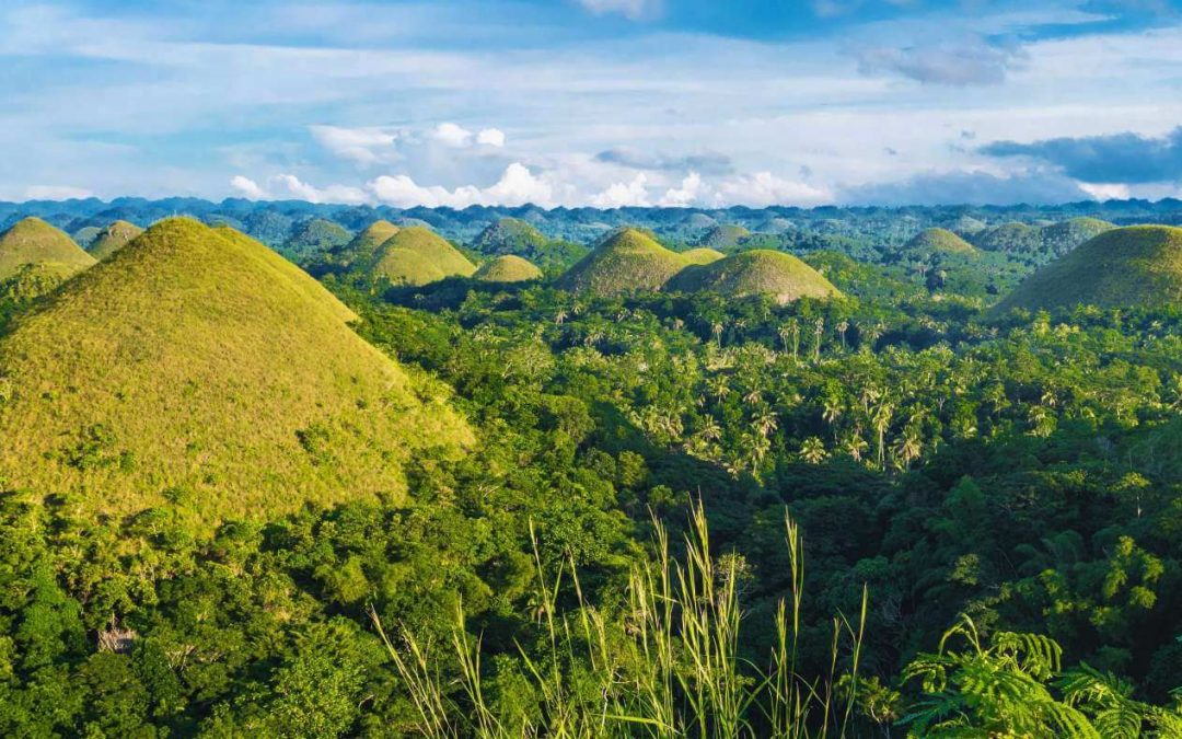 Guide to Bohol Tours